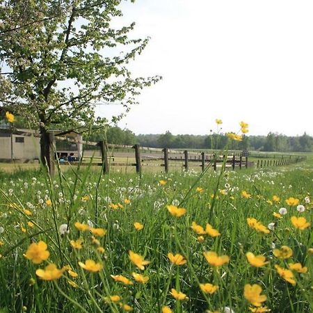 Agriturismo Cargandino Villa Mezzomerico Buitenkant foto