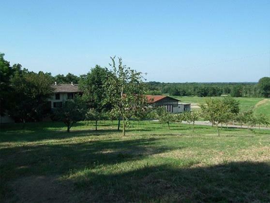 Agriturismo Cargandino Villa Mezzomerico Buitenkant foto