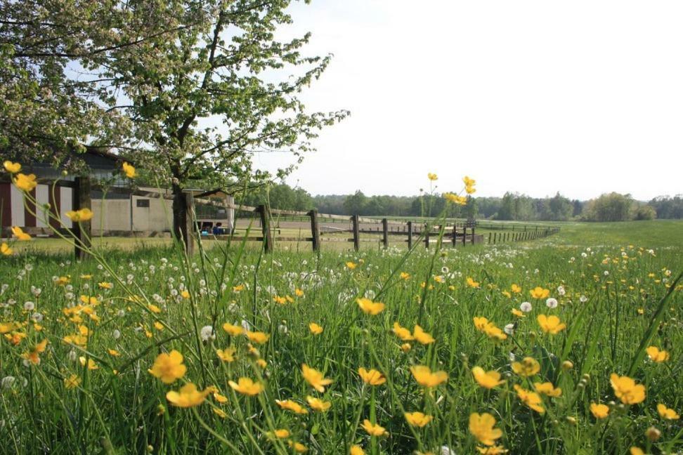 Agriturismo Cargandino Villa Mezzomerico Buitenkant foto