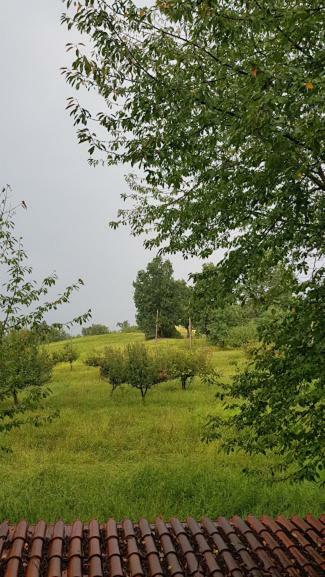 Agriturismo Cargandino Villa Mezzomerico Buitenkant foto